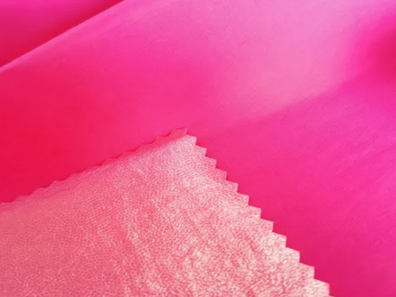 Tessuto Taslan in nylon impermeabile 228t con TPU incollato per giacche