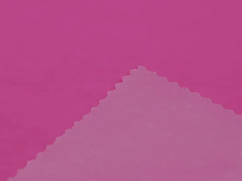 Tessuto TPU disossato in nylon Taslon impermeabile 228t per giacca da esterno